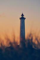 Lighthouse in the dunes at the danish coast photo