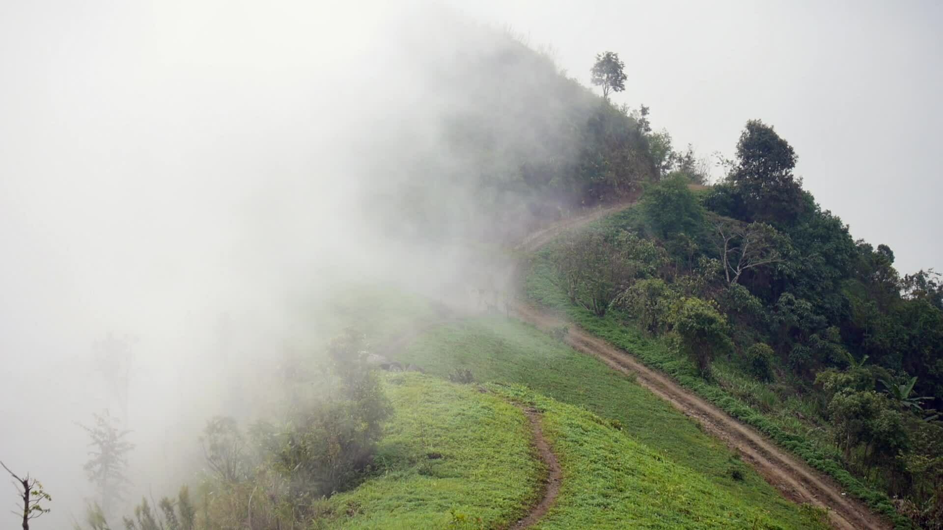 Nebel Schränkt Die Sicht Auf Knapp 50 M Ein de.vecteezy.com