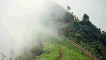 The mist flows through the mountain forest, Sun shining into tropical forest, Mist drifts through mountain ridges in the morning, slow floating fog blowing cover on the top of mountain video