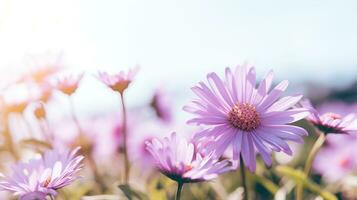 ai generado flores, antecedentes imagen, flor campo, brillo, frescura, escenario, paisaje, naturaleza foto