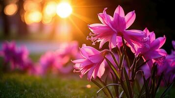 AI generated Flowers, background image, flower field, brightness, freshness, scenery, landscape, nature photo