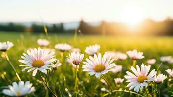 AI generated Flowers, background image, flower field, brightness, freshness, scenery, landscape, nature photo