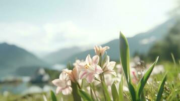 ai generado flores, antecedentes imagen, flor campo, brillo, frescura, escenario, paisaje, naturaleza foto