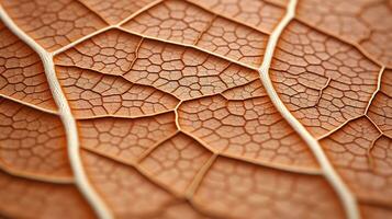 AI generated leaf, leaf texture, close-up angle, macro lens photo