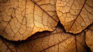 ai generado hoja, hoja textura, de cerca ángulo, macro lente foto