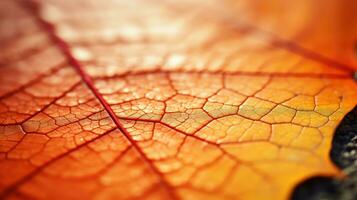 AI generated leaf, leaf texture, close-up angle, macro lens photo