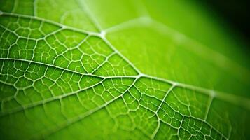 AI generated leaf, leaf texture, close-up angle, macro lens photo