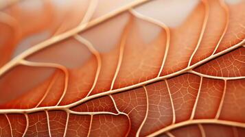 AI generated leaf, leaf texture, close-up angle, macro lens photo