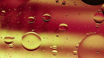 El aceite de comida colorido abstracto cae burbujas y esferas que fluyen en la superficie del agua video