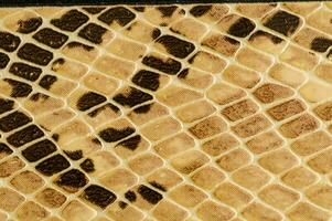 a close up of a snake skin pattern photo