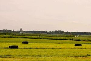 un campo con heno fardos foto