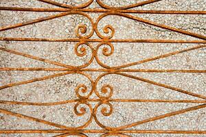 a close up of a metal fence with ornate designs photo