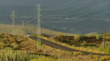 a road with power lines and cactus plants photo