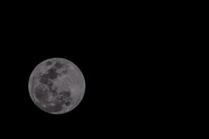 el Luna es visto en el oscuro cielo foto
