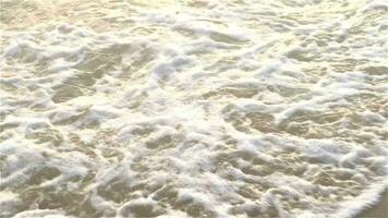 il sabbioso spiaggia di il mare è un' vista per ecco. con morbido d'oro sabbia fa voi sentire rinfrescato e ringiovanito. sabbioso spiagge, conchiglie e rocce rendere spiaggia bellissimo nel natura. bene posto per rilassare video