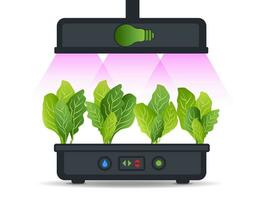 Portable hydroponic aeroponic system for ecofriendly growing of green lettuce, vegetables and herbs. With automatic watering system and purple phyto lighting. Phytolamp vector