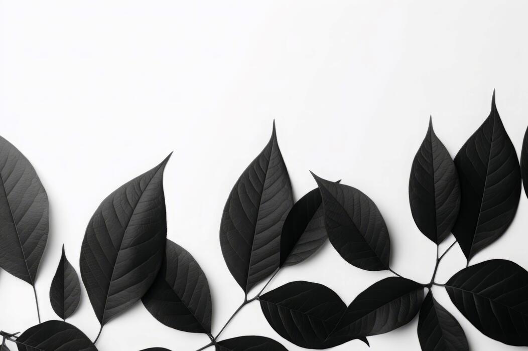 Background Hitam Putih Stock Photos, Images and Backgrounds for Free