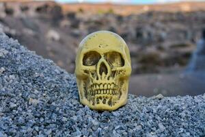 a yellow skull on top of rocks photo