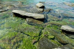 rocas y algas en el agua foto