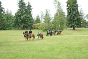 Union and Confederate cavalry photo