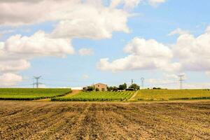 un granja campo con un casa en el distancia foto