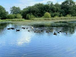 A view of Brown Moss Nature Reserve in the evening photo