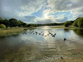 A view of Brown Moss Nature Reserve in the evening photo