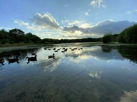 A view of Brown Moss Nature Reserve in the evening photo