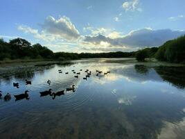 A view of Brown Moss Nature Reserve in the evening photo