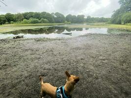 A view of Brown Moss Nature Reserve photo