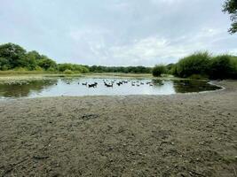 A view of Brown Moss Nature Reserve photo