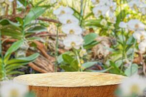 Empty old tree stump table top with blur orchid garden background for product display photo