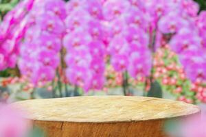 Empty old tree stump table top with blur orchid garden background for product display photo