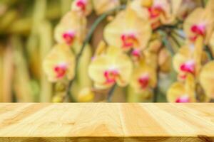 Empty wood table top with blur orchid garden background for product display photo