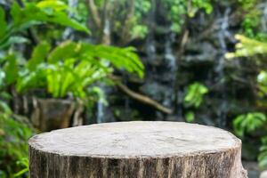 Empty old tree stump table top with blur green tropical garden background for product display photo