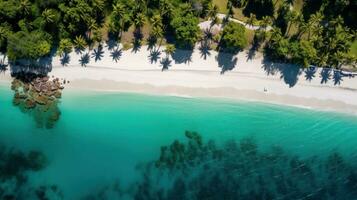 AI Generated An aerial view of a beach with trees and water, AI photo