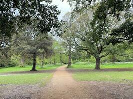 A view of a Park in London on a cloudy day photo