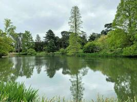 A view of a Park in London on a cloudy day photo