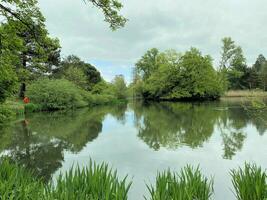 un ver de un parque en Londres en un nublado día foto