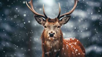 AI generated Red deer in falling snow in winter forest photo