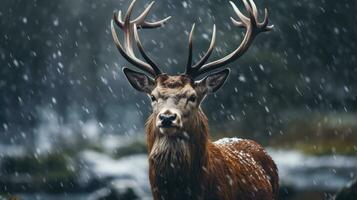 ai generado rojo ciervo en que cae nieve en invierno bosque foto