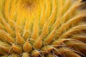 AI generated Macro shot of cactus spines photo