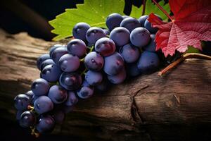 AI generated Ripening of red vines for wine production photo