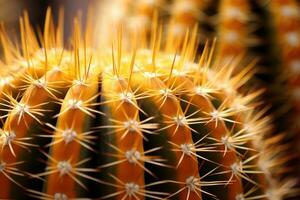 AI generated Close-up of the Golden Barrel Cactus, Echinocactus grusonii, a desert plant native to Mexico photo