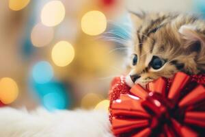 AI Generated A small kitten laying on top of a red present, AI photo