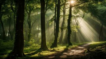AI Generated A path through a forest with sun shining on the trees, AI photo