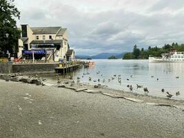 Windermere in the UK on 7 July 2023. A view of Lake Windermere from Bowness photo