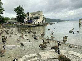 Windermere in the UK on 10 August  2023. A view of Lake Windermere from Bowness photo