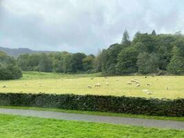 A view of the Lake District near Keswick on a cloudy day photo