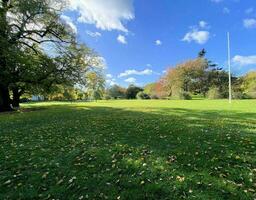 un ver de un parque en Londres demostración el otoño colores foto